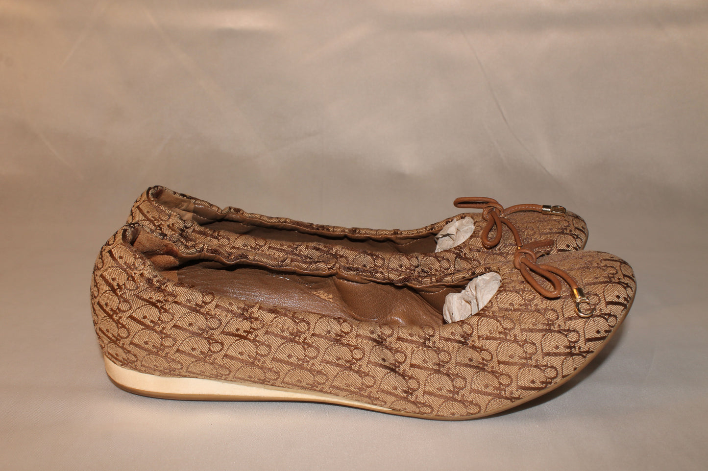Dior Monogram Zen Ballerines