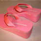 Alexander Wang Wedge Flip Flop